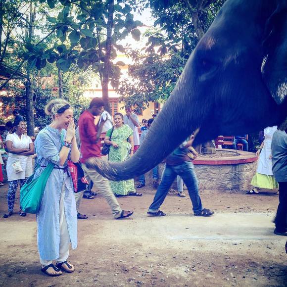 Meet your Posher, Nilla - Picture 1 of 1